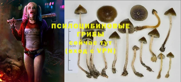 мет Богородицк